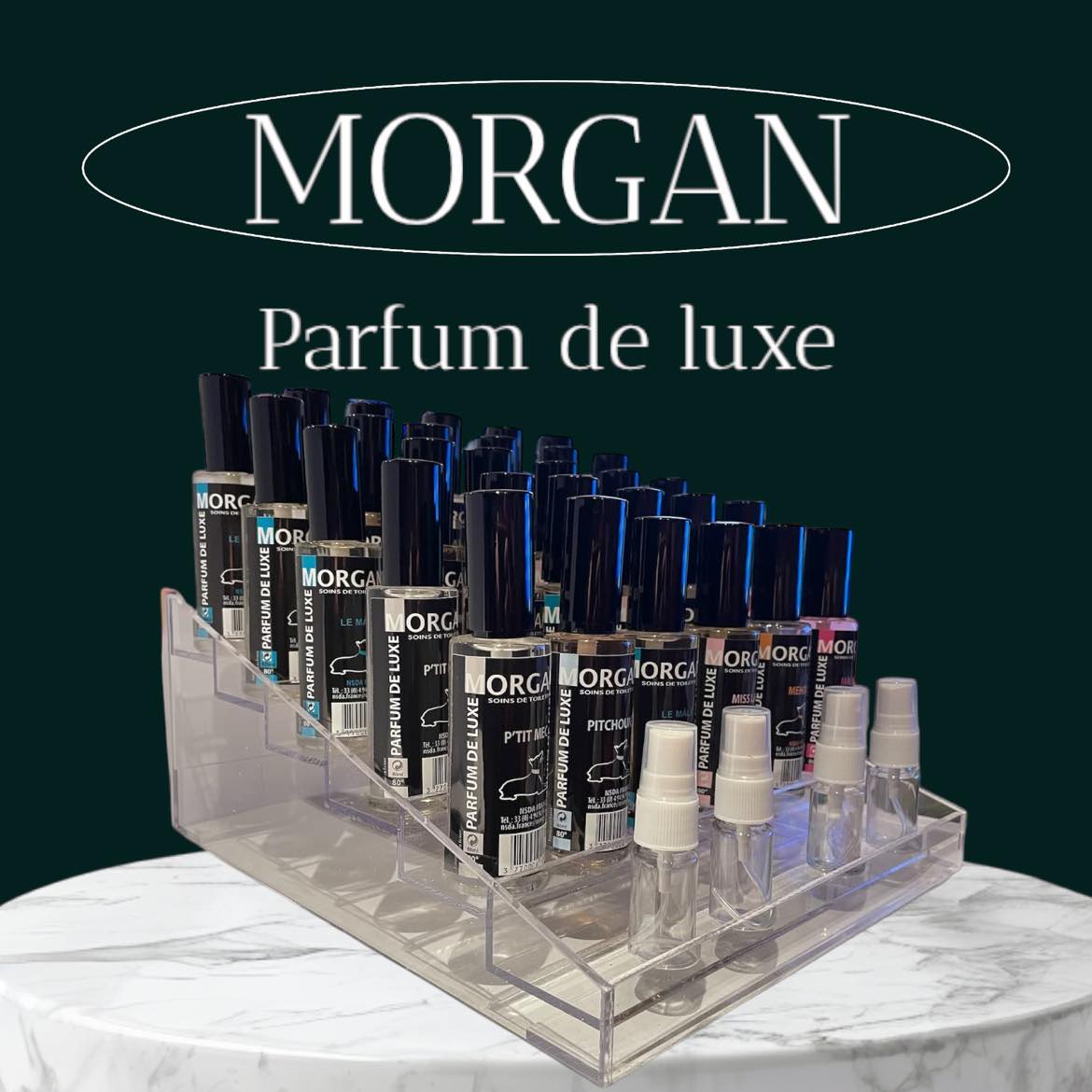 3 / Parfums pour chiens et chats