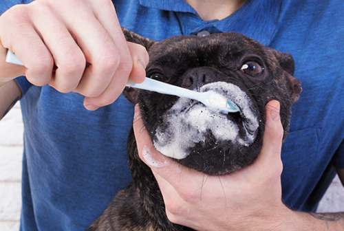 4 / Hygiène des yeux et des oreilles