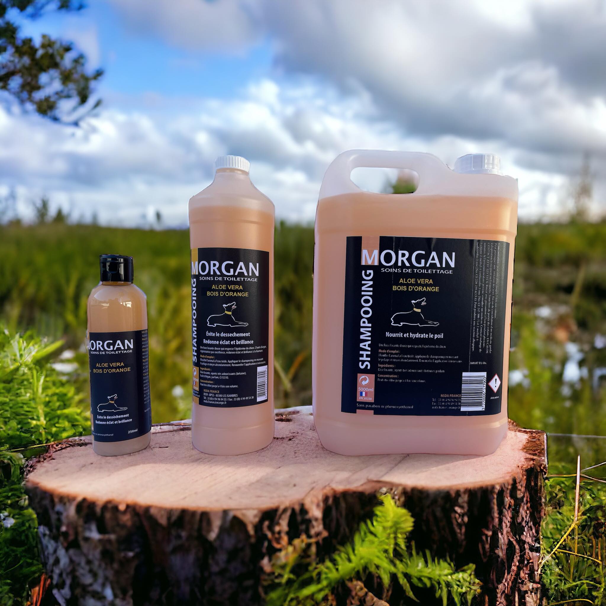 1 / Shampooing pour chiens et chats