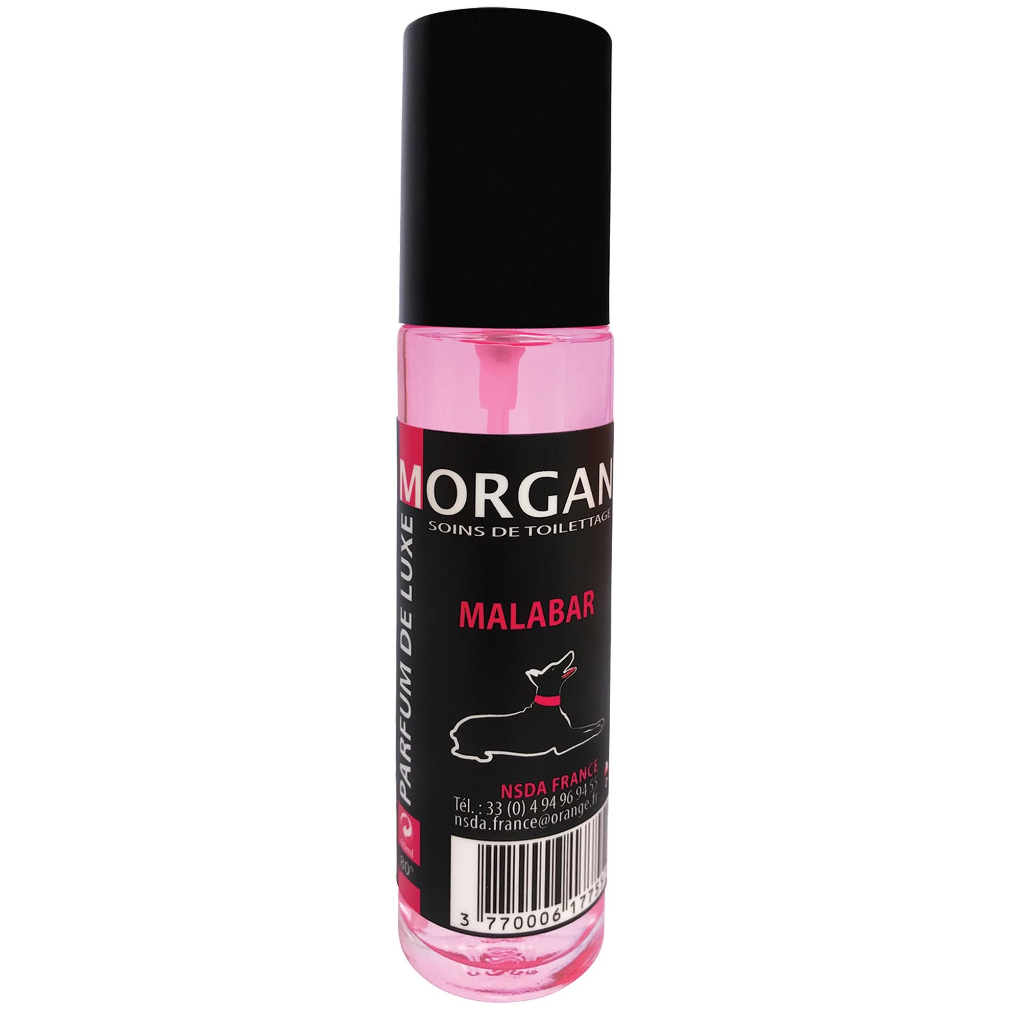 Parfum de luxe Morgan Malabar 60ml