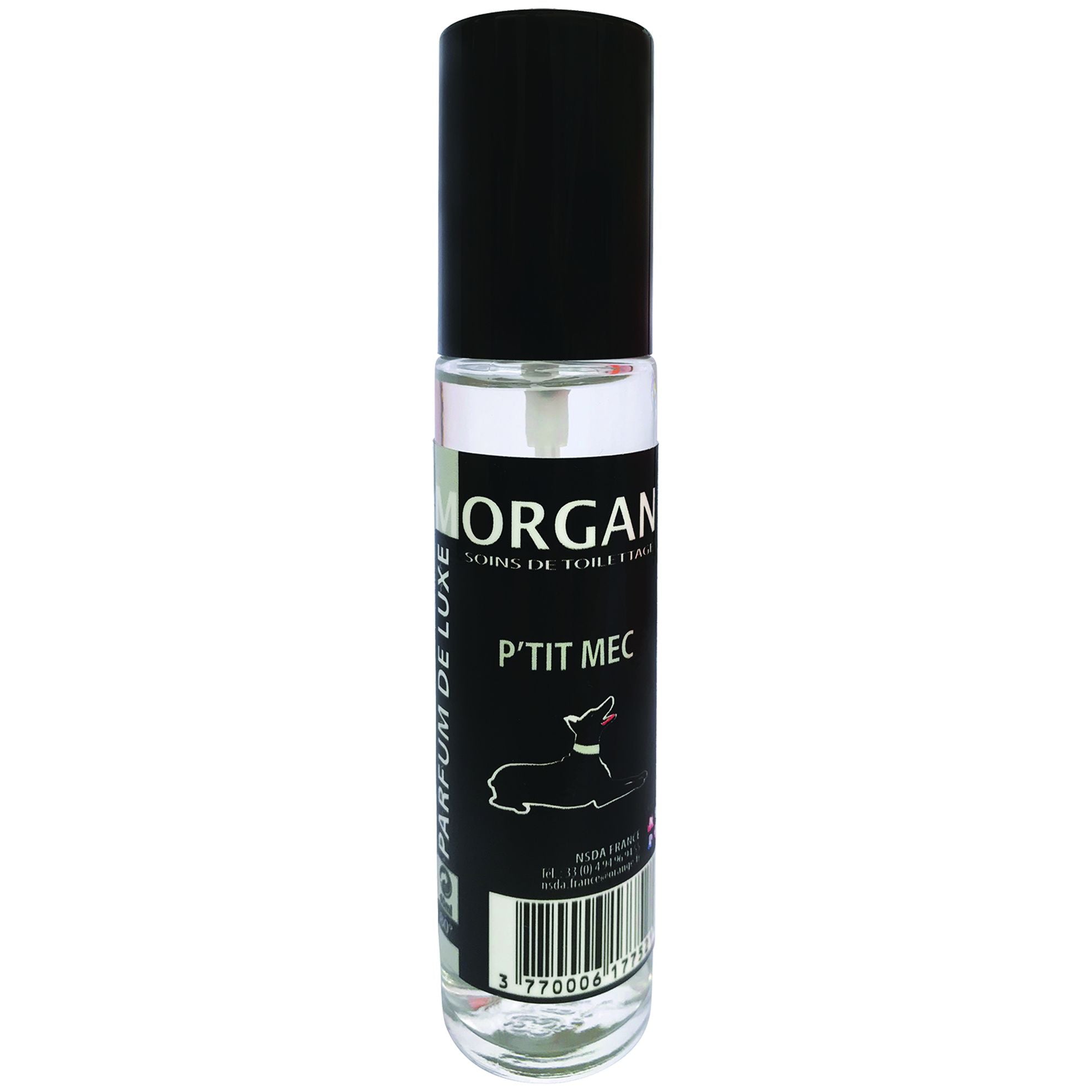 Parfum de luxe Morgan P'tit mec 60ml