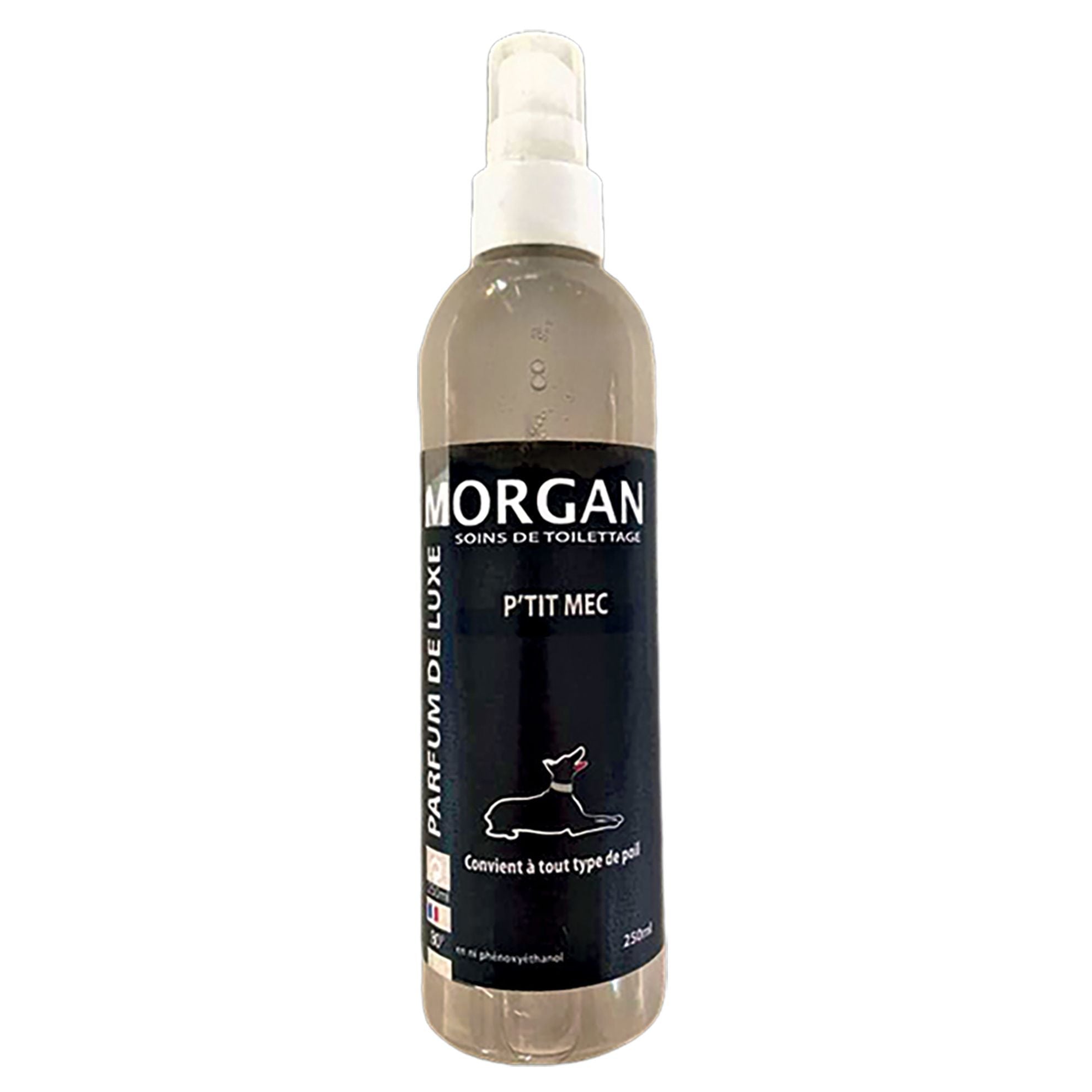 Parfum de luxe Morgan P'tit mec 250ml