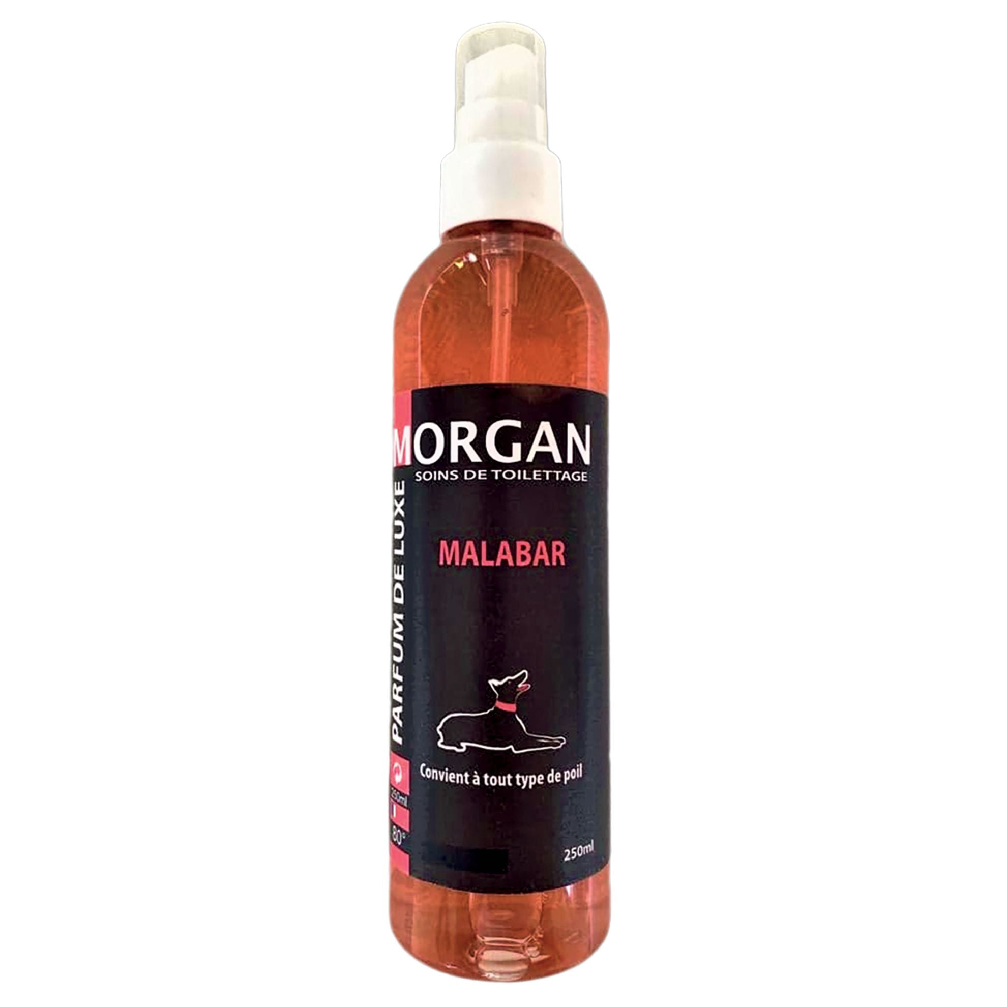 Parfum de luxe Morgan Malabar 250ml