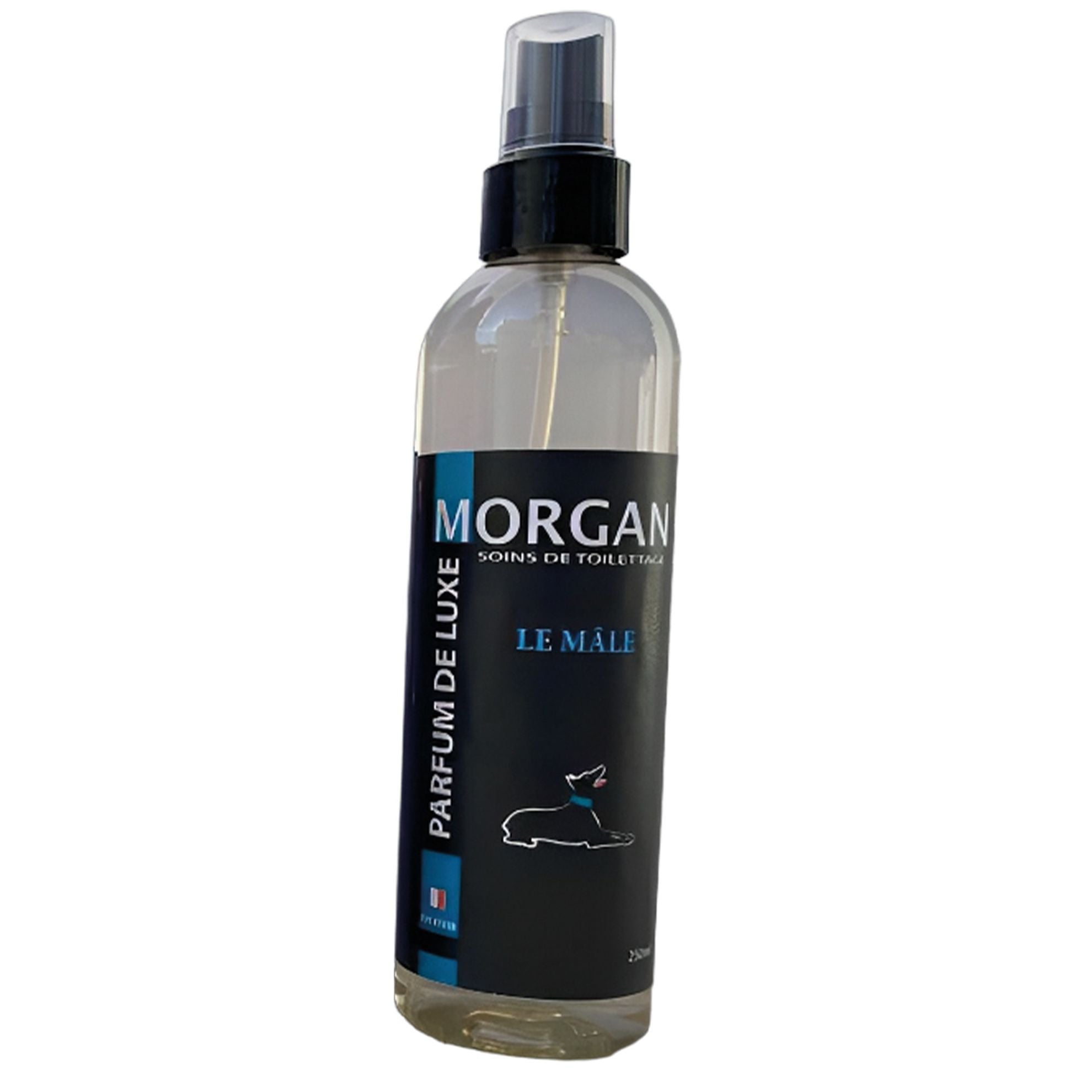 Parfum de luxe Morgan Le male 250ml