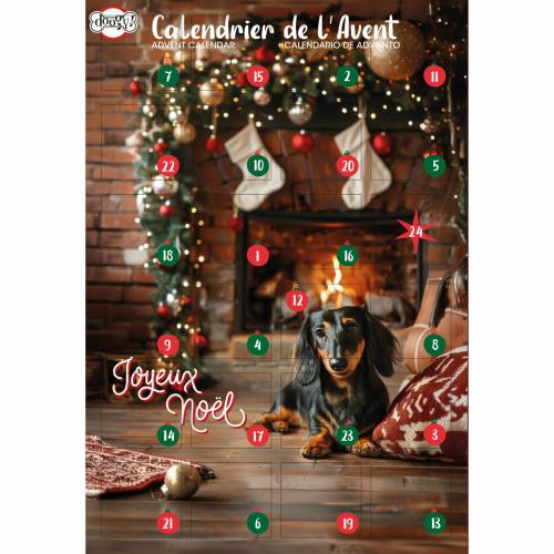 CALENDRIER DE L AVENT NOEL POUR CHIEN DOOGY - ASST BISCUITS 168GR – chien – Catwouaf