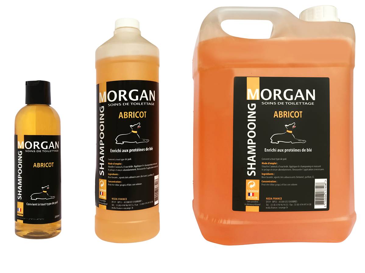 Shampooing de luxe MORGAN Abricot 250ml
