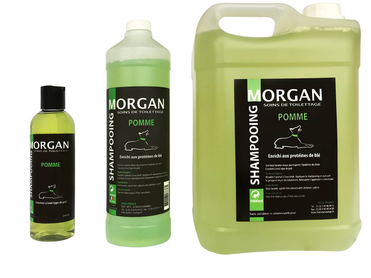 Shampooing de luxe MORGAN Pomme 250ml
