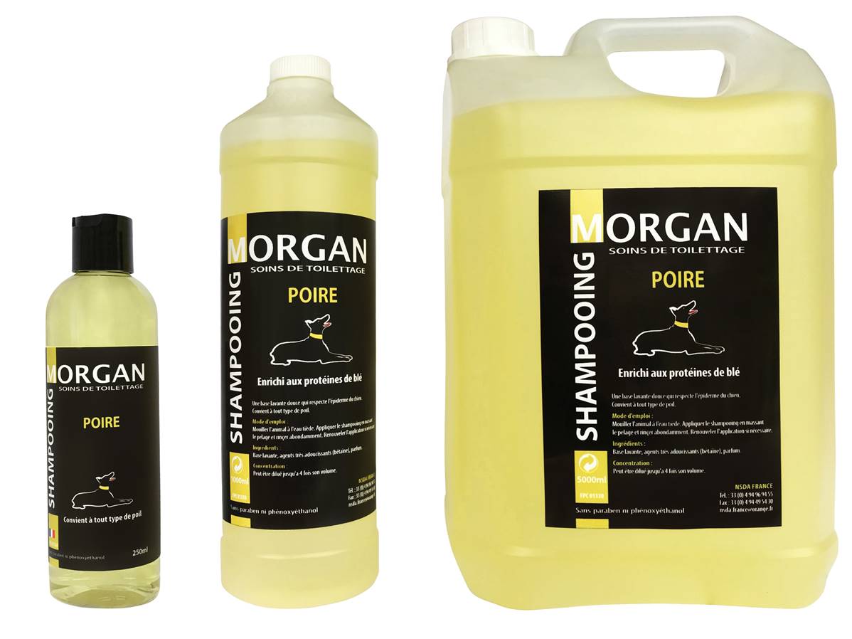 Shampooing de luxe MORGAN Poire 250ml