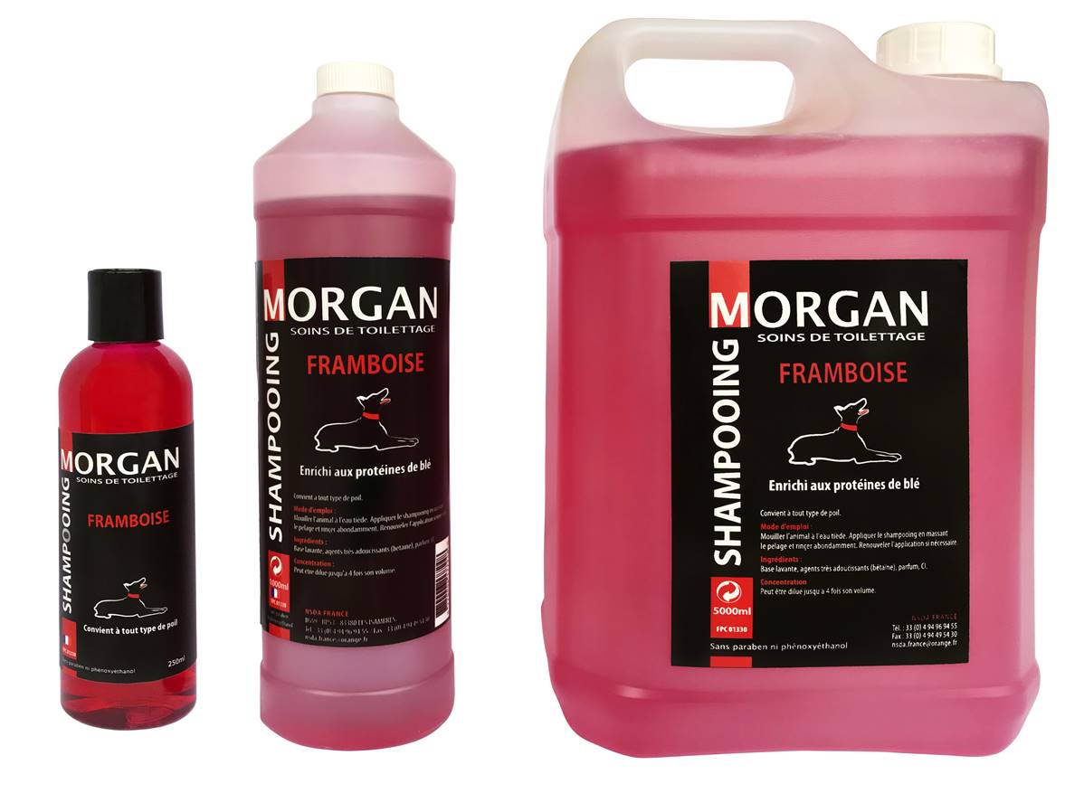 Shampooing de luxe MORGAN Framboise 250ml