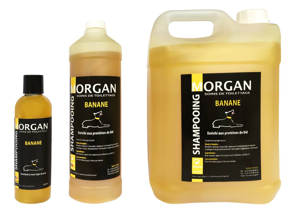 Shampooing de luxe MORGAN Banane 250ml