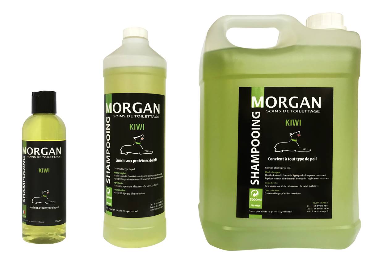 Shampooing de luxe MORGAN Kiwi 250ml