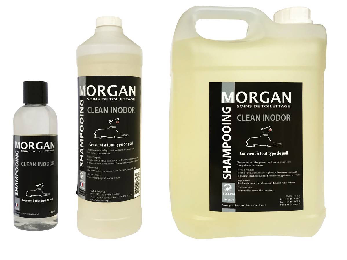 Shampooing de luxe MORGAN Clean inodor 250ml