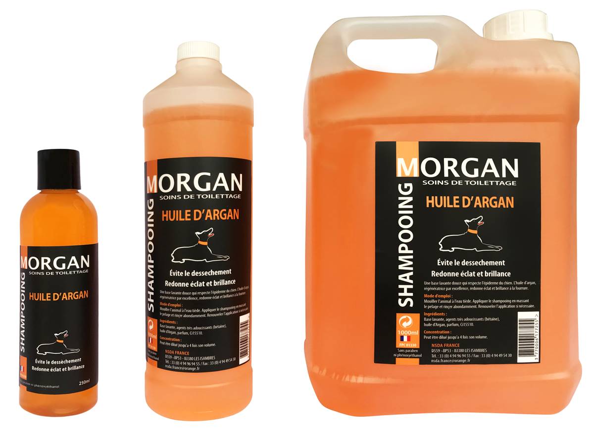 Shampooing de luxe MORGAN huile d'Argan 250ml