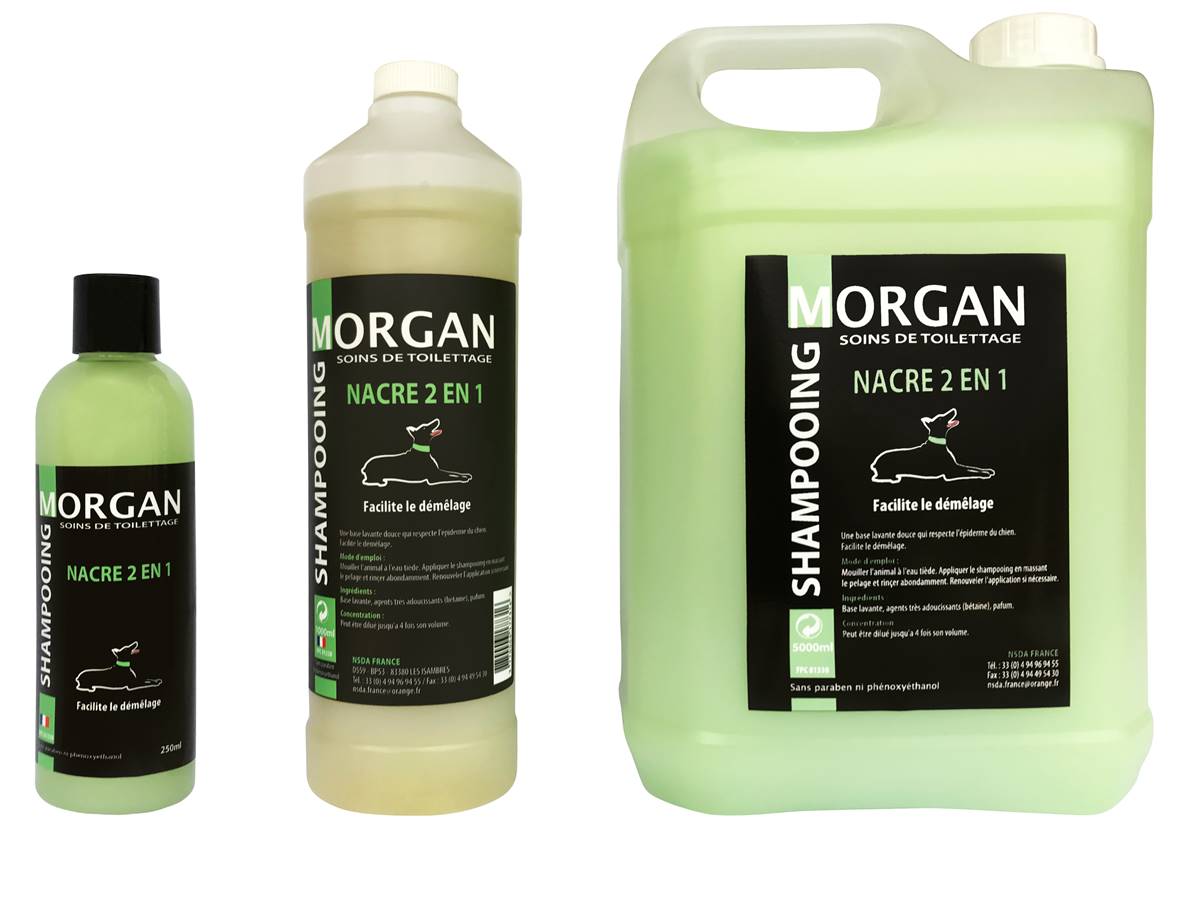 Shampooing de luxe MORGAN Nacré 2 en 1 250ml