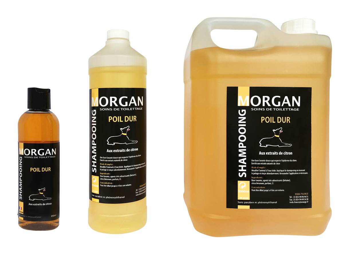 Shampooing de luxe MORGAN Poil dur 250ml