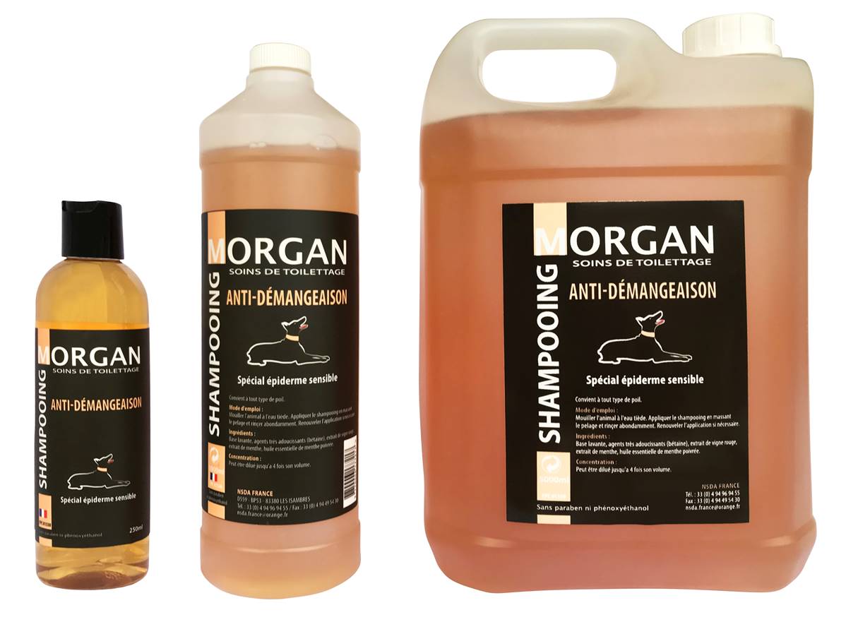 Shampooing de luxe MORGAN Anti-démangeaison 250ml