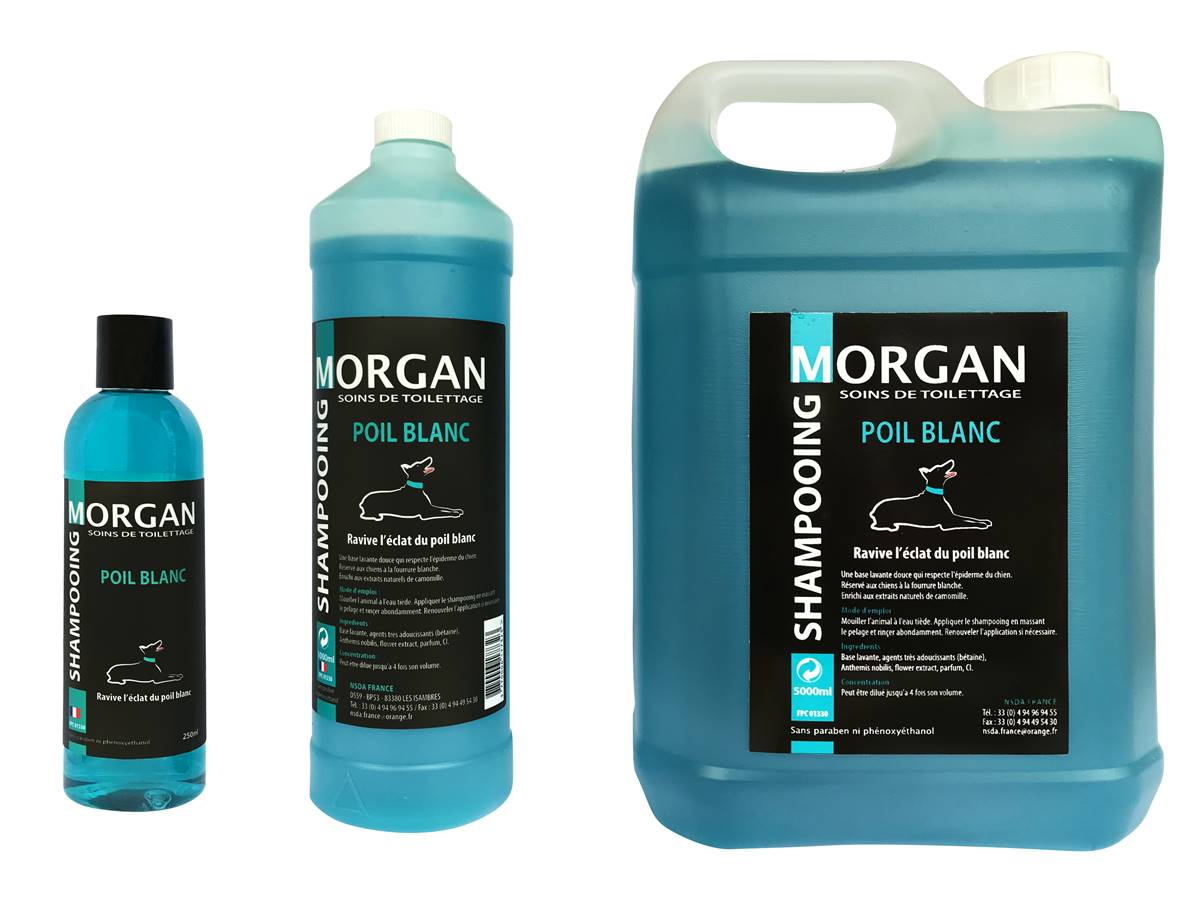 Shampooing de luxe MORGAN  poil Blanc 250ml