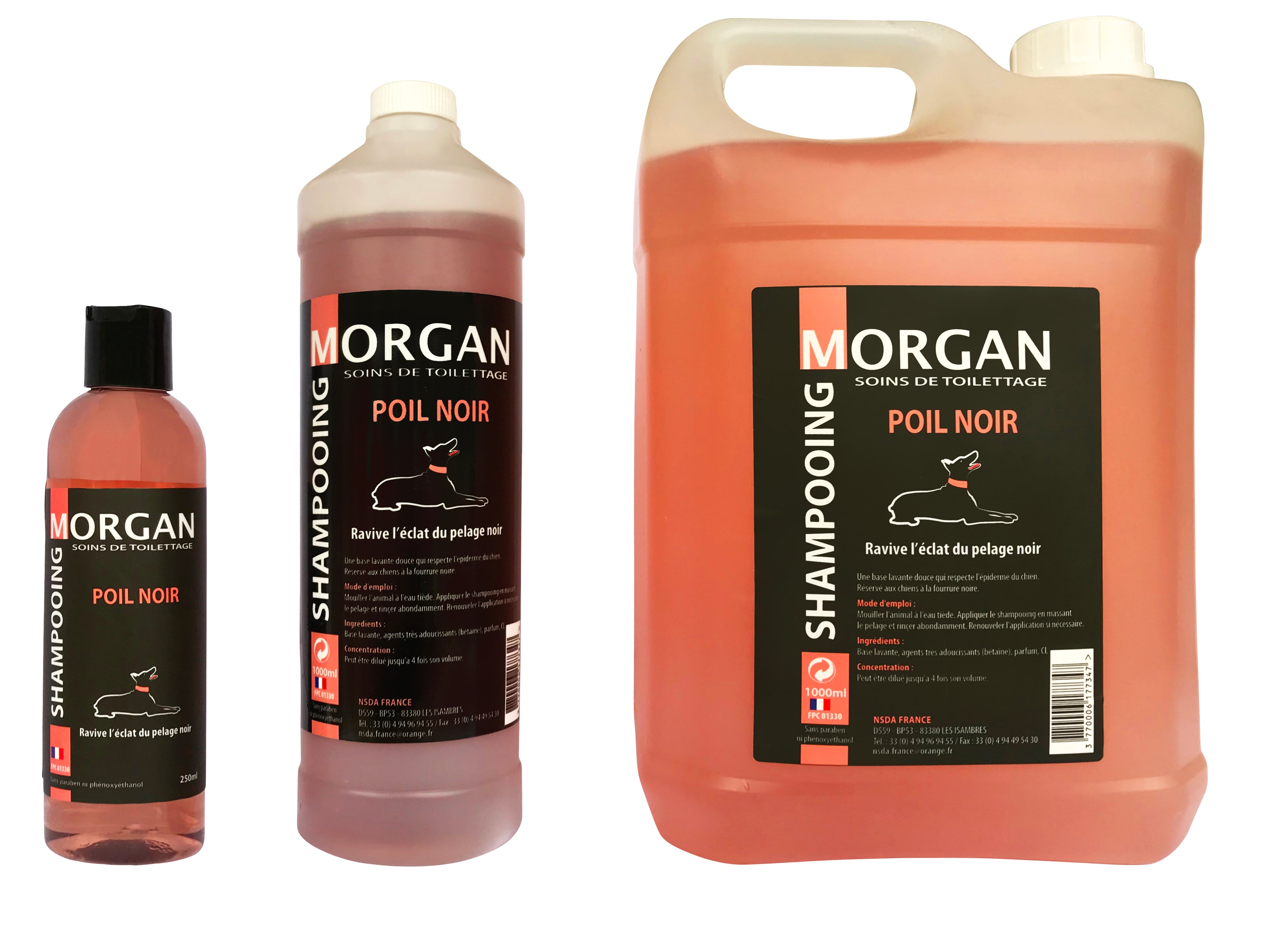 Shampooing de luxe MORGAN poil Noir 250ml