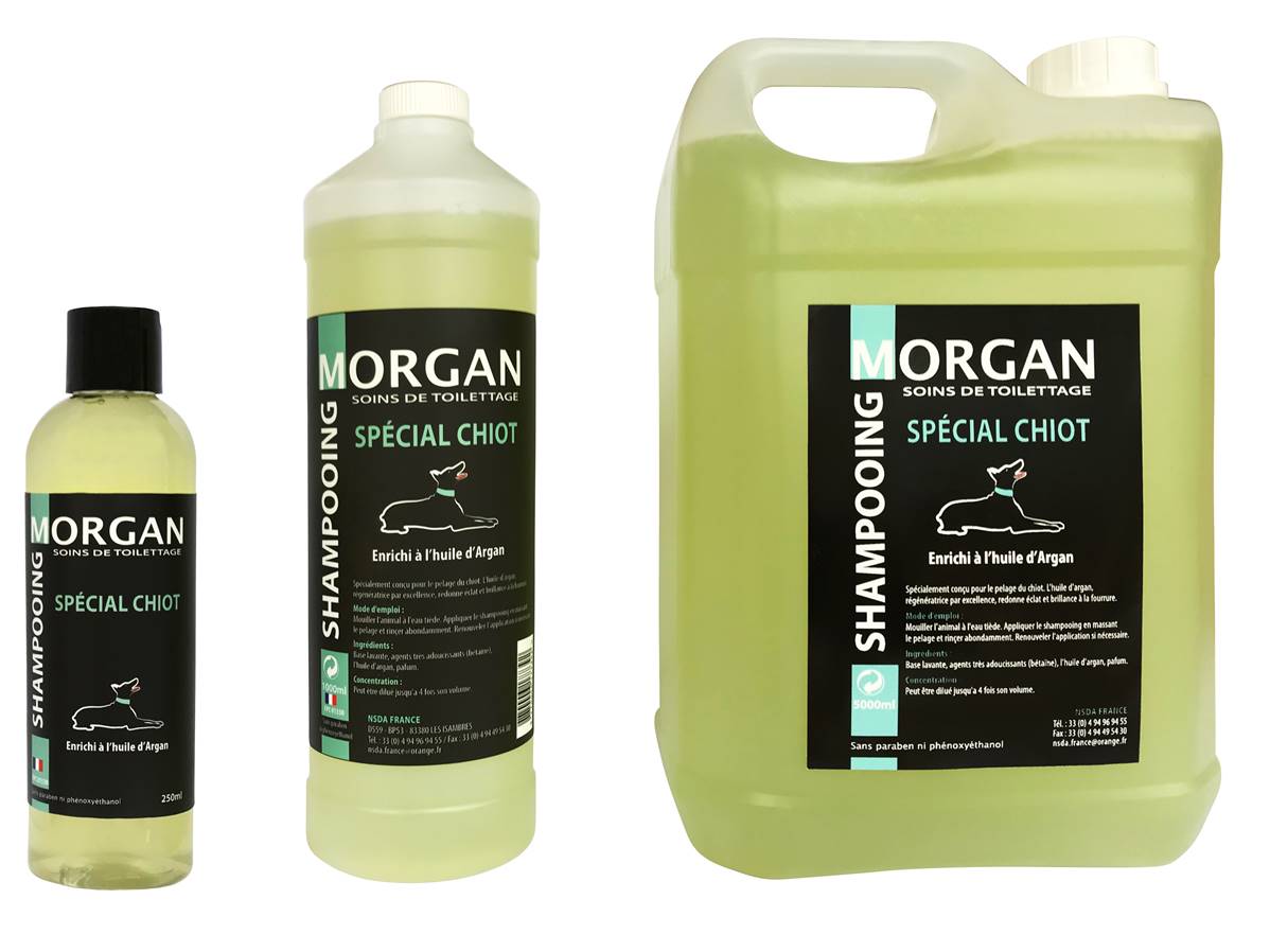 Shampooing de luxe MORGAN Chiot à l'huile d'argan 250ml