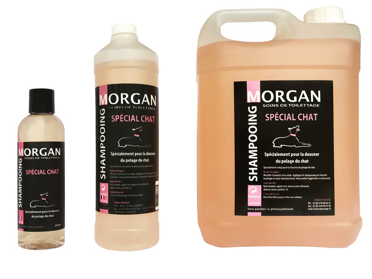 Shampooing de luxe MORGAN spécial Chat 250ml