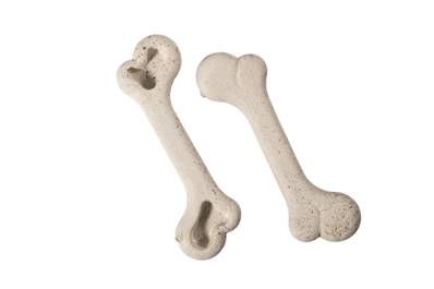 Friandise pour chien Os végétal grand modéle 14cm sachet de 5 os - Catwouaf